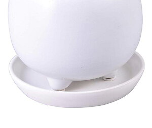 zB 14Y yZbgōwiz 픫M M M 󂯎M  3 ϗtA