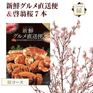 [   7{ ԑ ؉  TN   ̂  t[Mtga j ʉ ԃMtg v[g Ԍ R` ͍]  VNO