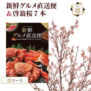 [   7{ ԑ ؉  TN   ̂  t[Mtga j ʉ ԃMtg v[g Ԍ R` ͍]  VNO