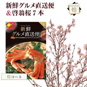 [   7{ ԑ ؉  TN   ̂  t[Mtga j ʉ ԃMtg v[g Ԍ R` ͍]  VNO