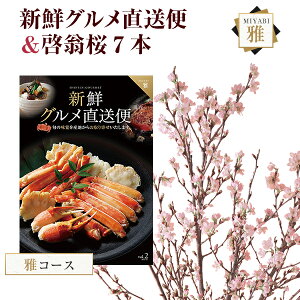 [   7{ ԑ ؉  TN   ̂  t[Mtga j ʉ ԃMtg v[g Ԍ R` ͍]  VNO