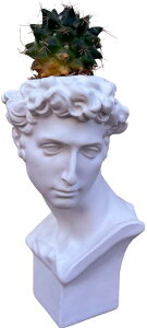 yGg[P10{2020-272zT{e ~j  CeA a ʔ v[g 񂹐A ڂĂ A ϗtA Mtg G Ε p AObp WW A