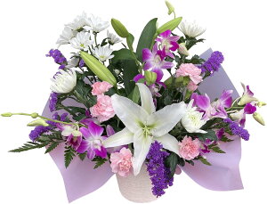 yGg[P10{2020-272z17Y    @v  AWg     蕨  l\  @ ip ~ V~ ~ 