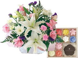 17Y   ފ  AWg  Zbg Zbg  蕨 ԃAW {  G[\N Lh  l\  @ @v i