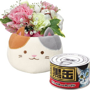 17Y   ybg AWg     [\N Lh ԃAW  ~ @ @v ip 蕨 L Ȃ Mtg t[Mtg t