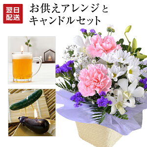 zB 14Y   ފ  AWg Lh Zbg  ԃAW  蕨 낤 }} [\N َq   l\  @ @v 