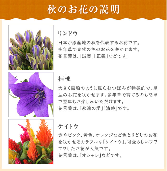 楽天市場 早割10 Off 8 30まで 敬老の日 花 ギフト プレゼント カタログギフト 新鮮グルメ直送便 雅コース 秋の3種寄せカゴ 花 リンドウ 鉢植え 鉢花 東北 関西送料無料 敬老の日プレゼント 花のギフト社 花のギフト社onlineshop