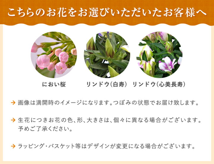 楽天市場 あす楽 敬老の日 ギフト プレゼント 花 鉢植え 花鉢 鉢花 生花 敬老 メッセージカード付き リンドウ 白寿 心美長寿 におい桜 金柑 ニンポウ 大実 ぷちまる 苗木 犬 アレンジ はな フラワーアレンジメント フラワーギフト 東北 関西 送料無料 花のギフト社 花