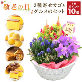 楽天市場 鉢植え 花 ギフトの通販