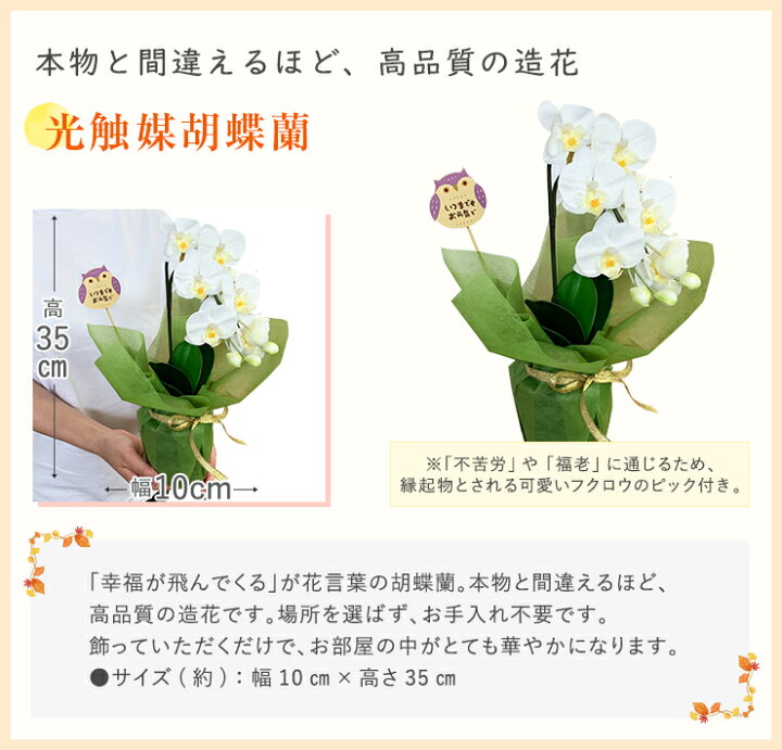 楽天市場 早割5 Off 9 4まで 敬老の日 プレゼント 花 ギフト 5種から選べる 敬老 メッセージカード付き お花 リンドウ 白寿 桔梗 ケイトウ カランコエ 光触媒 胡蝶蘭 生花 アレンジ 切花 ふくろう 鉢植え 鉢花 花鉢 東北 関西 送料無料 花のギフト社 花のギフト