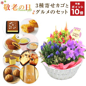 鉢植え 生花の人気商品 通販 価格比較 価格 Com