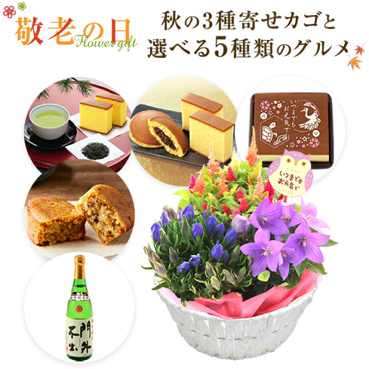 楽天市場 敬老の日 花 ギフト プレゼント 花とスイーツ セット 花 リンドウ 鉢植え 鉢花 花鉢 6種から選べるグルメ 文明堂 カステラ どら焼き お茶 いもくり 西堀酒造 門外不出 酒 東北 関西送料無料 フラワーギフト 花のギフト社 花のギフト社onlineshop