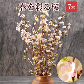 当日発送17時〆 さくら 桜 啓翁桜 7本 花束 お誕生日 切花 生花 サクラ 花 桜のお花 フラワーギフト 誕生日 お祝い 卒業祝い 入学祝い 送別会 花ギフト プレゼント お花見 正月飾り 玄関 モダン おしゃれ お正月飾り 正月桜 送料無料
