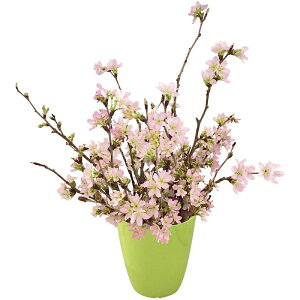 桜 生花の人気商品 通販 価格比較 価格 Com