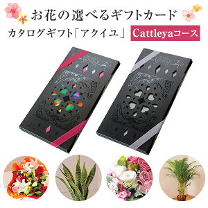 観葉植物 カタログギフトの人気商品 通販 価格比較 価格 Com