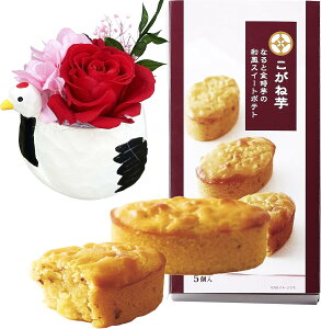 zB 14Y Mtg v[g  vU[uht[ AW ԂƃXC[cset ԂƂَq hV bZ[WJ[ht aَq XC[c َq  ǂĂ ˓ ˈ