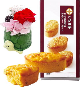 zB 14Y Mtg v[g  vU[uht[ AW ԂƃXC[cset ԂƂَq hV bZ[WJ[ht aَq XC[c َq  ǂĂ ˓ ˈ