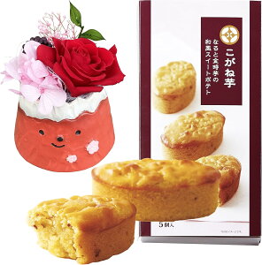 yGg[P10{2020-272zzB 14Y Mtg v[g  vU[uht[ AW ԂƃXC[c Zbg hV bZ[WJ[h aَq XC[c َq  