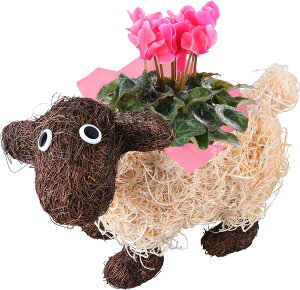 yGg[P10{2020-272zzB 14Y VN KW} JRG K[fVN 3  Ԕ  A a j Ε NX}X JXj  v