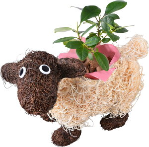 zB 14Y VN KW} JRG K[fVN 3  Ԕ  A a j Ε NX}X JXj  v[g Mtg K[f ߂ 