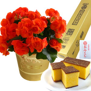 yGg[P10{1/1 9:59܂Łz17Y xSjA [K[XxRjA  v[g [K[X A Mtg Ԕ    ԂƃXC[c ԂƂَq  a j 