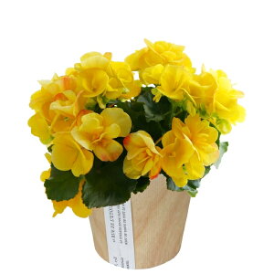 17Y xSjA [K[XxRjA  v[g [K[X A Mtg Ԕ     a j ̓ ̓ hV̓ ̓Mtg ̓v[g t