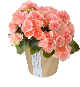 zB 17Y xSjA [K[XxRjA  v[g [K[X A Mtg Ԕ     a j ̓ ̓ hV̓ ̓Mtg ̓v[g t