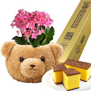 yGg[P10{1/1 9:59܂Łz17Y KW} JRG ϗtA  Ԕ  A  ǂĂ ̗  JXe ˓ g̊ [[ a 