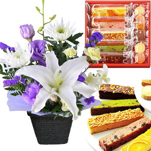 zB 17Y   H  AWg َq Zbg   S  蕨  ԃAW ʕ [[  [\N  ǂĂ  l\ 