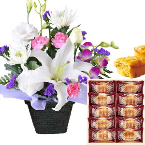 17Y    @v  AWg َq Zbg   S  蕨  ԃAW  ʕ [[  [\N  ǂĂ 