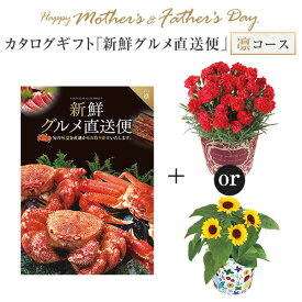 母の日 カーネーション 父の日 父の日 ギフト プレゼント 花 5号鉢 鉢植え 東北〜関東〜関西送料無料 カタログギフト 新鮮グルメ直送便 凛コース チョイスギフト 母の日プレゼント 鉢花 花鉢 花のギフト社