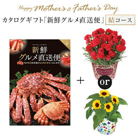 母の日 カーネーション 父の日 父の日 ギフト プレゼント 花 5号鉢 鉢植え 東北〜関東〜関西送料無料 カタログギフト 新鮮グルメ直送便 結コース チョイスギフト 母の日プレゼント 鉢花 花鉢 花のギフト社