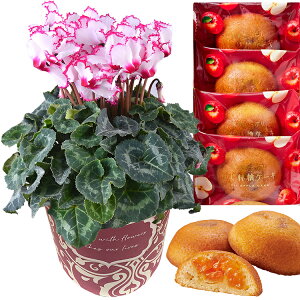 17Y VN  A  Mtg v[g 5킩Iׂ邨َq  rNgA 5  Ԕ ߂ 5  ˓ ˈ і ӂьP[L 