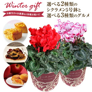 VN  A  Mtg v[g 5킩Iׂ邨َq  rNgA 5  Ԕ ߂ 5  ˓ ˈ і ӂьP[L Ε