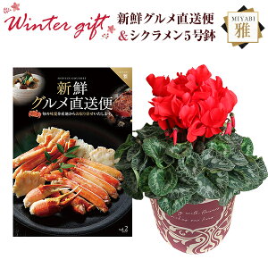 VN A  Mtg v[g J^OMtg VNO R[X  Ԍn 5  Ԕ ߂ 5   Ε a t[Mtg LO}Jf~A