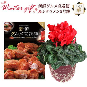 VN A  Mtg v[g J^OMtg VNO ؃R[X  Ԍn 5  Ԕ ߂ 5   Ε a t[Mtg LO}Jf~A