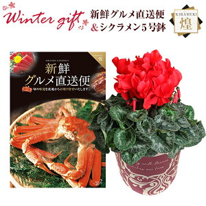 VN A  Mtg v[g J^OMtg VNO R[X  Ԍn 5  Ԕ ߂ 5   Ε a t[Mtg LO}Jf~A