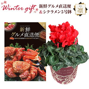 VN A  Mtg v[g J^OMtg VNO zR[X  Ԍn 5  Ԕ ߂ 5   Ε a t[Mtg LO}Jf~A