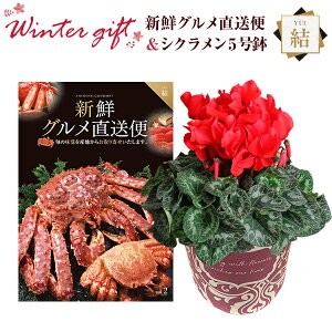 VN A  Mtg v[g J^OMtg VNO R[X  Ԍn 5  Ԕ ߂ 5   Ε a t[Mtg LO}Jf~A