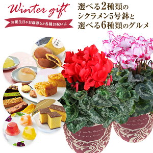 VN  A  Mtg v[g 6킩Iׂ邨َq  rNgA 5  Ԕ ߂ 5   ǂĂ  JXe ˈ g̊ L[gZ