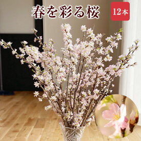 啓翁桜 さくら 桜 12本 花束 切花 生花 サクラ 花 桜のお花 正月桜 フラワーギフト 誕生日 お祝い 送別会 花ギフト プレゼント お花見 山形 寒河江 正月飾り 花 玄関 置物 モダン おしゃれ ひな祭り 送料無料 けいおう桜