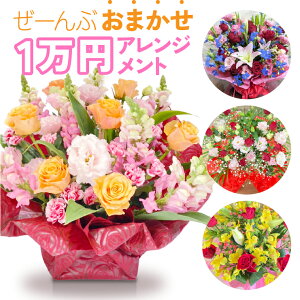 ܂ AWg ԑ t[Mtg v[g a j JXj ސEj җj LO j     t[Xgɂ܂ 1~  