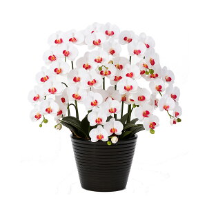 yP5{11/13`11/17z17Y A[gt[ Ӓ 傤 G} R[eBO j JXj a