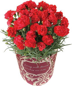 y20I30OFFz̓  v[g Mtg 2026 J[l[V  5  A t[Mtg Ԕ   k`֐   ̓Mtg ̓v[g 