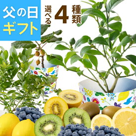 ＼P5倍！4日20:00-11日1:59／父の日 ブルーベリー レモン キウイ 花 鉢植え 父の日ギフト ブルーベリー鉢植え レモンの木 苗 鉢 フルーツ ギフト プレゼント 実付き 花鉢 苗 果物 果樹 果樹鉢 ブルーベリーの木 キウイの木 東北〜関西 送料無料