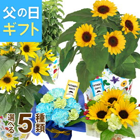 ＼P5倍！4日20:00-11日1:59／父の日 花 ギフト ひまわり ガーデニア ほおずき 鉢植え 生花 アレンジメント お花 プレゼント 花鉢 鉢花 父の日ギフト 東北〜関西 送料無料