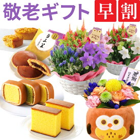 ＼P5倍！4日20:00-11日1:59／敬老の日 プレゼント 花 スイーツ ギフト 鉢植え 花鉢 鉢花 生花 敬老 メッセージカード 孫 お菓子 和菓子 洋菓子 文明堂 どら焼き こがね芋 カステラ巻 おかかごぼう リンドウ 竜胆 ふくろう フクロウ はな 敬老の日プレゼント フラワーギフト