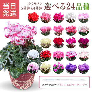 VN Mtg VN5 VN4  A Ε i v[g   Ԕ ߂  5 4   A   sN  WbNXbh NX}