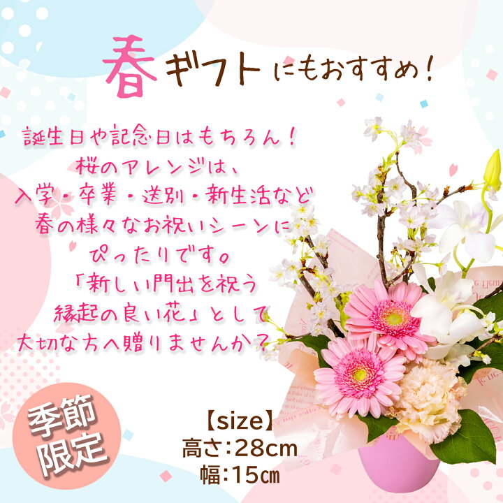 楽天市場】＼P5倍！21日20時-27日2時／啓翁桜 桜 さくらの花 桜の花 