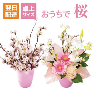 [  ̉ ̉ TN ̂  AWg ؂藎Ƃ } ׂĒZ}  p   }t  a v[g 